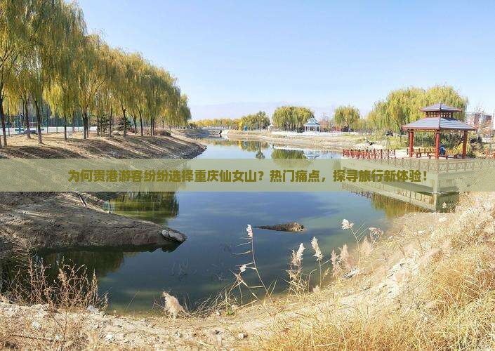 为何贵港游客纷纷选择重庆仙女山？热门痛点，探寻旅行新体验！