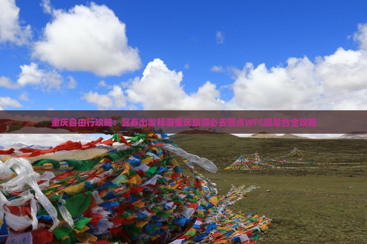 重庆自由行攻略：宜春出发畅游重庆旅游必去景点WFC观景台全攻略