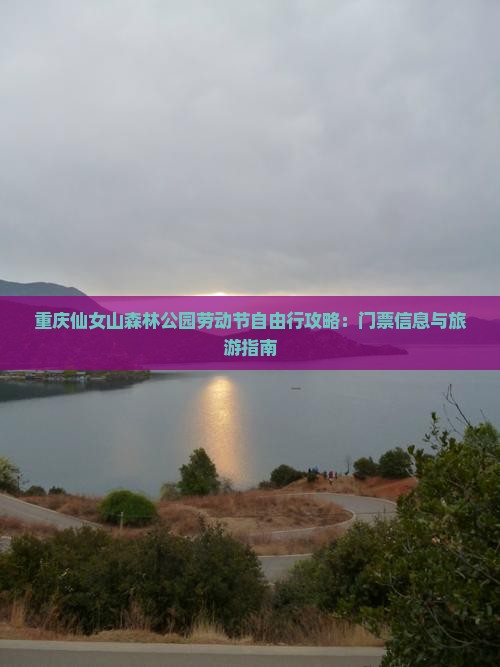 重庆仙女山森林公园劳动节自由行攻略：门票信息与旅游指南