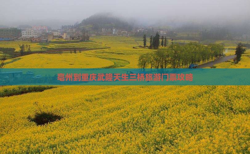 亳州到重庆武隆天生三桥旅游门票攻略