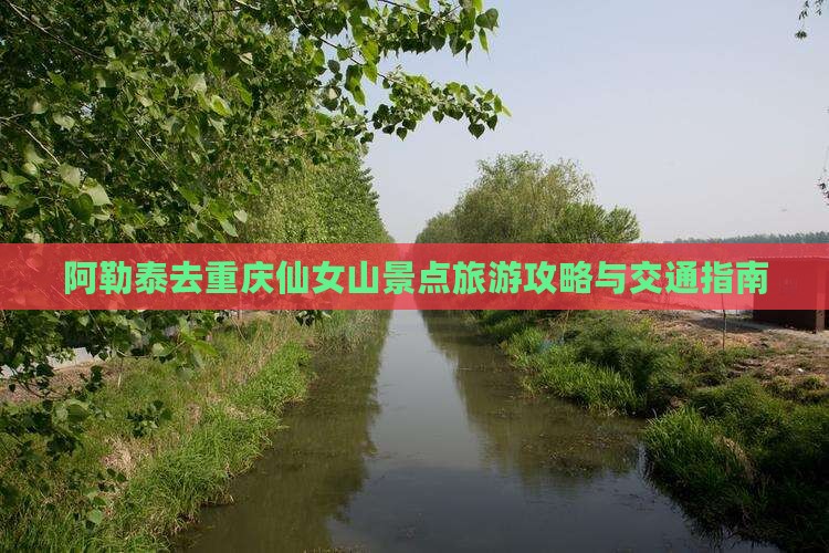 阿勒泰去重庆仙女山景点旅游攻略与交通指南