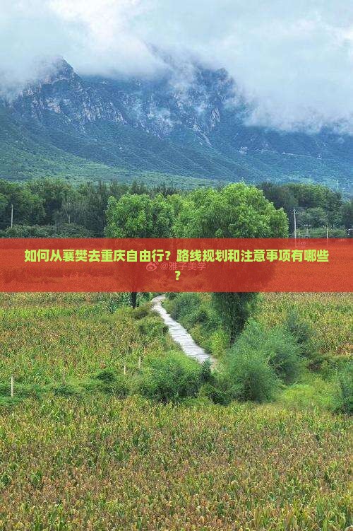 如何从襄樊去重庆自由行？路线规划和注意事项有哪些？