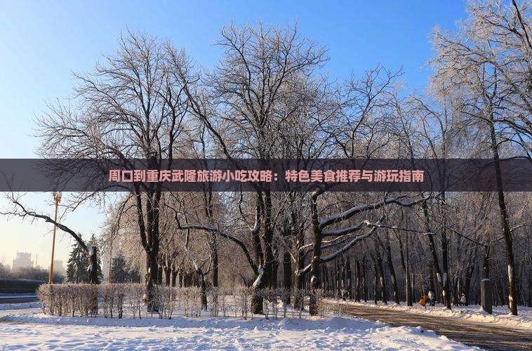周口到重庆武隆旅游小吃攻略：特色美食推荐与游玩指南