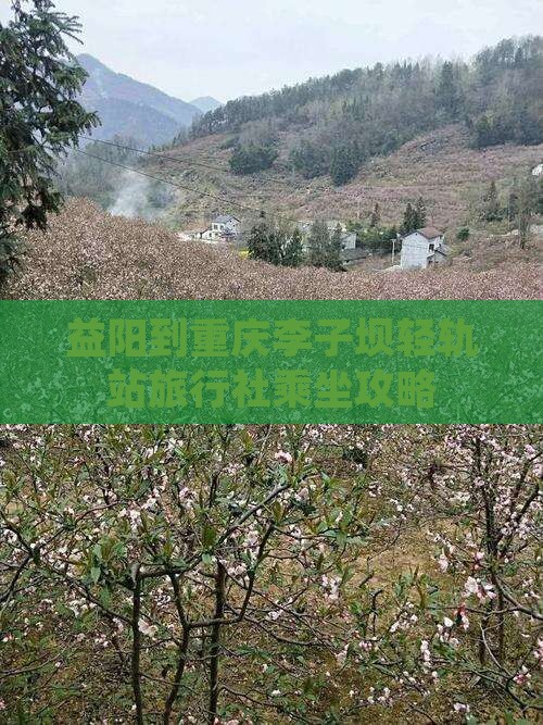 益阳到重庆李子坝轻轨站旅行社乘坐攻略