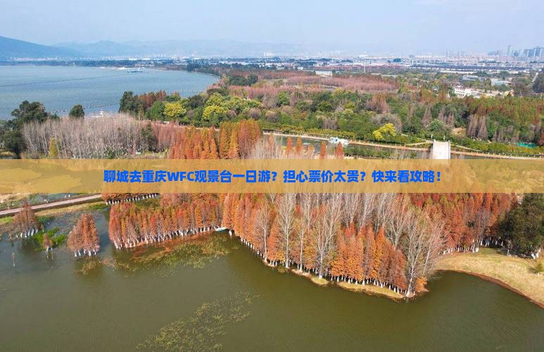 聊城去重庆WFC观景台一日游？担心票价太贵？快来看攻略！