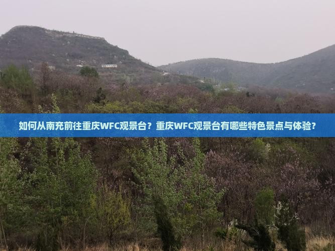 如何从南充前往重庆WFC观景台？重庆WFC观景台有哪些特色景点与体验？