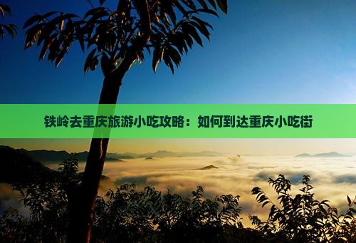 铁岭去重庆旅游小吃攻略：如何到达重庆小吃街