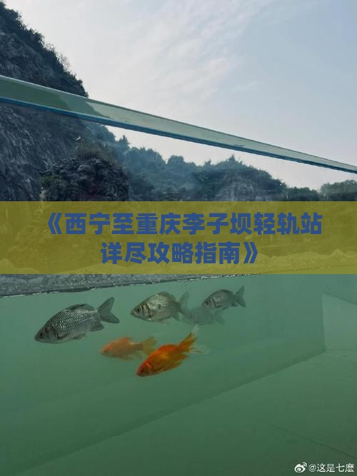 《西宁至重庆李子坝轻轨站详尽攻略指南》