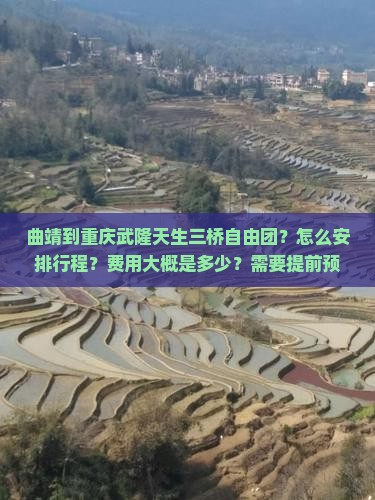 曲靖到重庆武隆天生三桥自由团？怎么安排行程？费用大概是多少？需要提前预订吗？