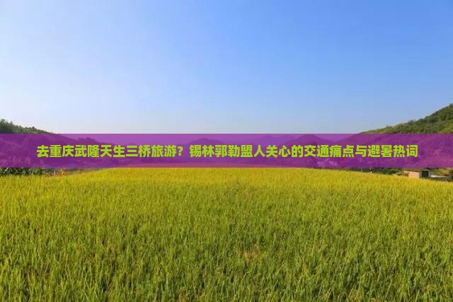 去重庆武隆天生三桥旅游？锡林郭勒盟人关心的交通痛点与避暑热词
