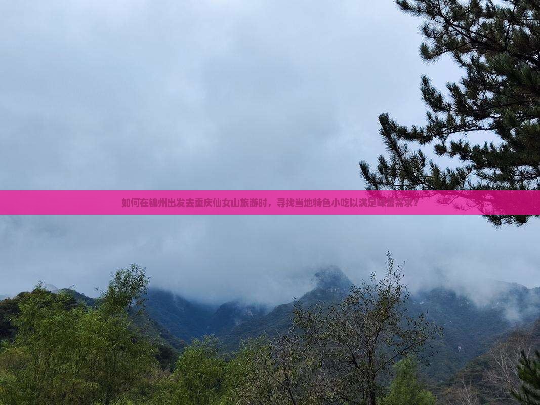 如何在锦州出发去重庆仙女山旅游时，寻找当地特色小吃以满足味蕾需求？