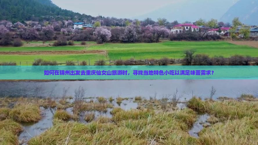如何在锦州出发去重庆仙女山旅游时，寻找当地特色小吃以满足味蕾需求？