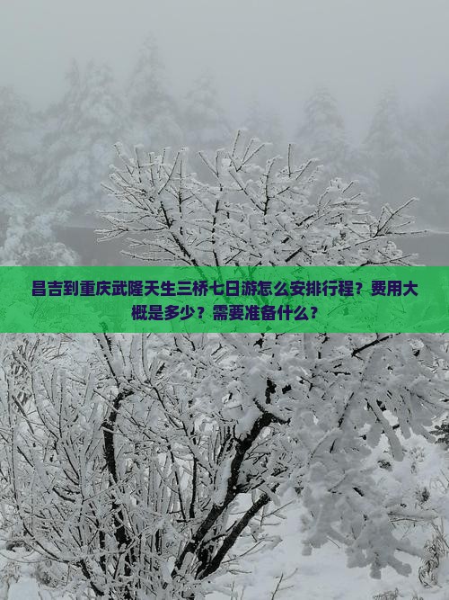 昌吉到重庆武隆天生三桥七日游怎么安排行程？费用大概是多少？需要准备什么？