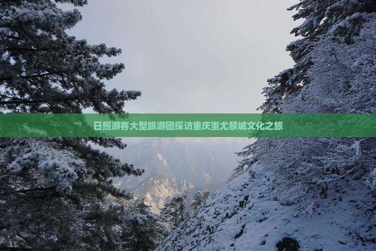 日照游客大型旅游团探访重庆蚩尤黎城文化之旅