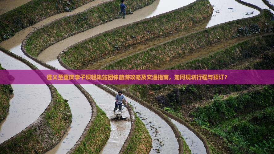 遵义至重庆李子坝轻轨站团体旅游攻略及交通指南，如何规划行程与预订？