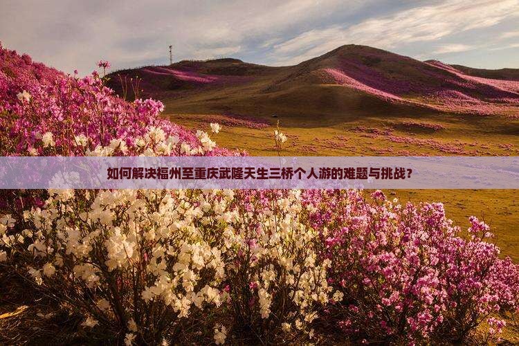 如何解决福州至重庆武隆天生三桥个人游的难题与挑战？