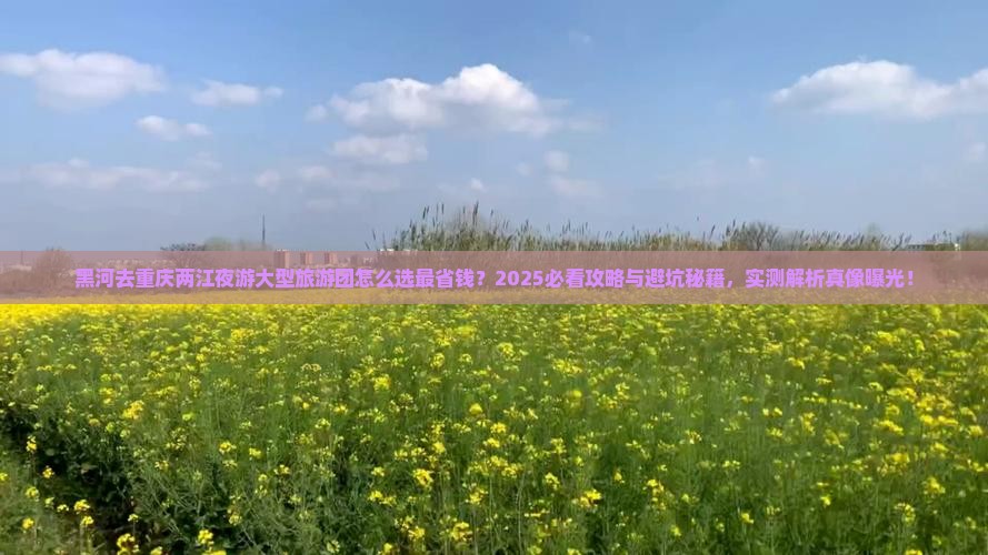黑河去重庆两江夜游大型旅游团