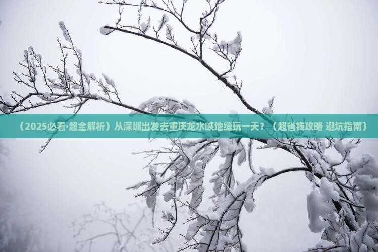 深圳去重庆龙水峡地缝一日