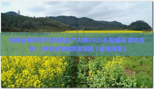 陇南去重庆李子坝轻轨站个人游