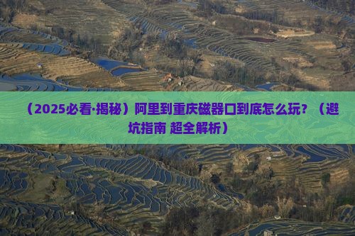 阿里到重庆磁器口哪里玩