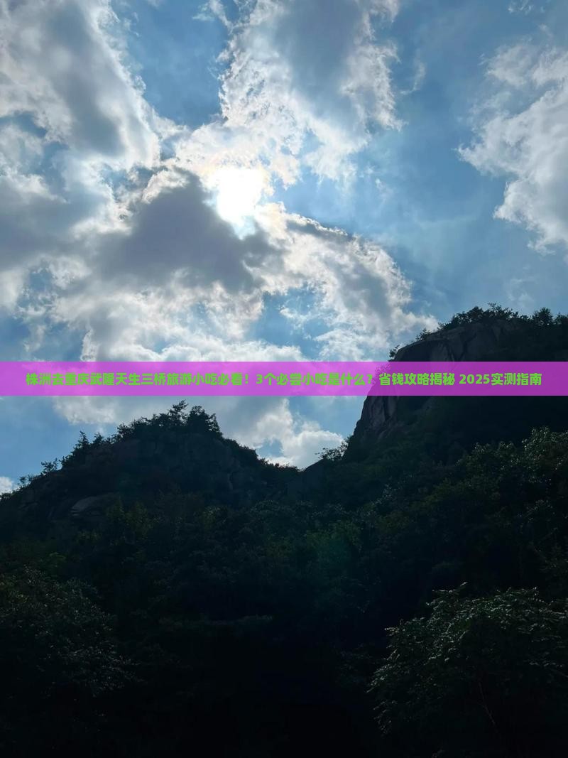 株洲去重庆武隆天生三桥旅游小吃