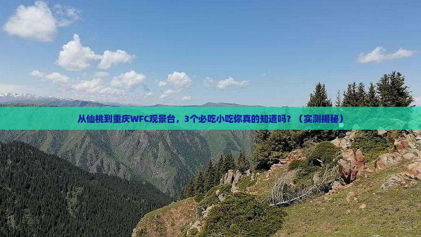 仙桃去重庆wfc观景台旅游小吃