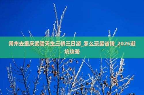 朔州去重庆武隆天生三桥三日游