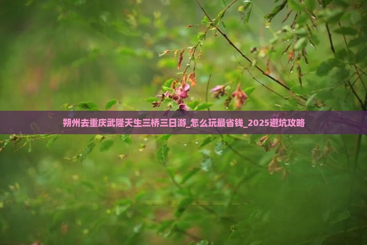 朔州去重庆武隆天生三桥三日游