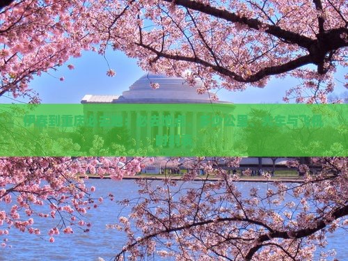 伊春到重庆必去地