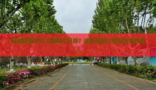 安顺到重庆乌江画廊六日游