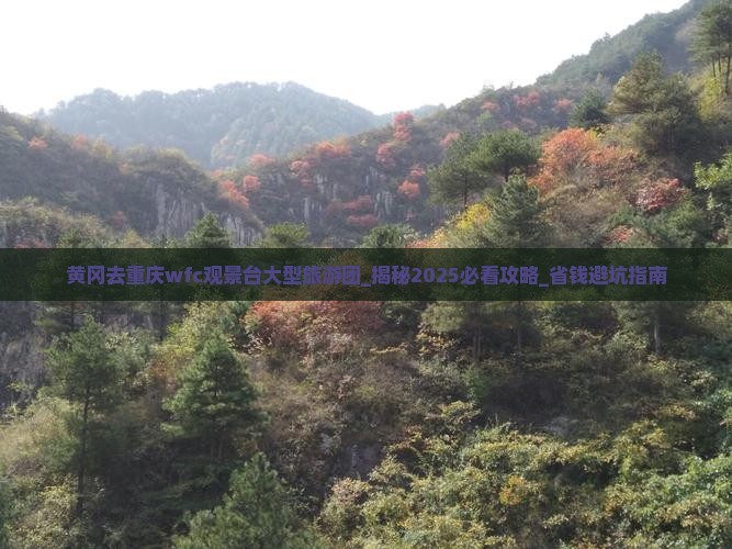 黄冈去重庆wfc观景台大型旅游团