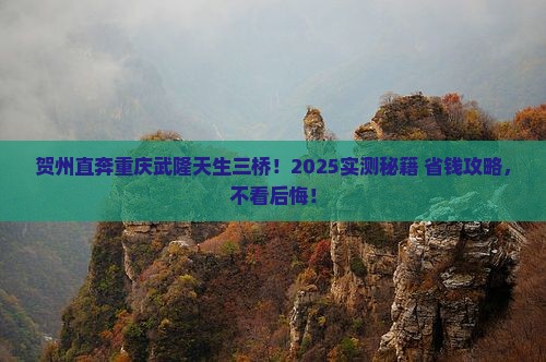 贺州到重庆武隆天生三桥个人游