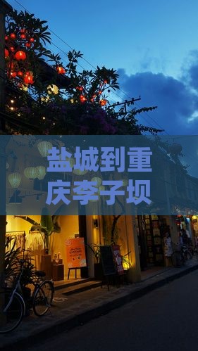 盐城到重庆李子坝轻轨站六日游
