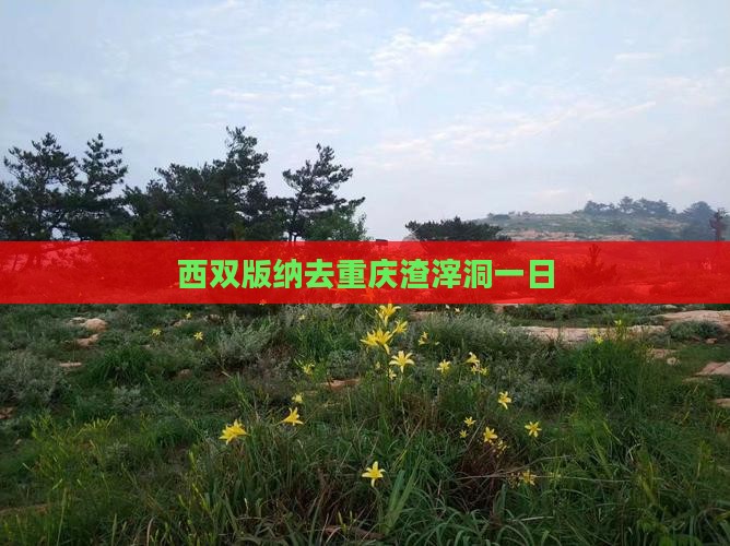 西双版纳去重庆渣滓洞一日