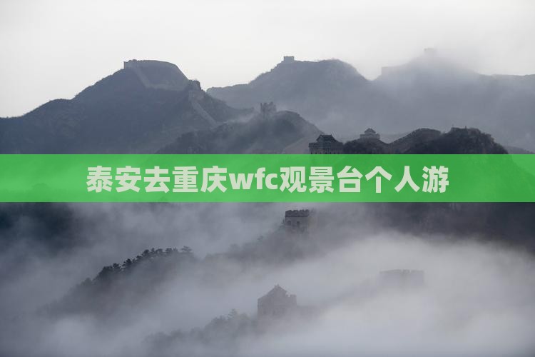 泰安去重庆wfc观景台个人游