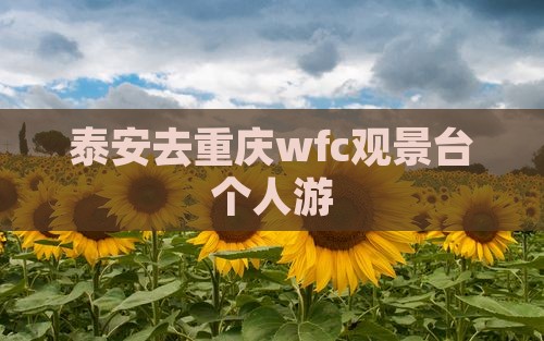 泰安去重庆wfc观景台个人游