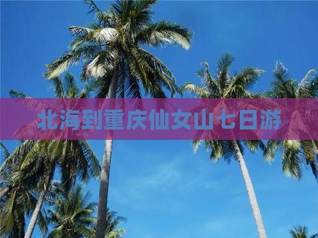 北海到重庆仙女山七日游
