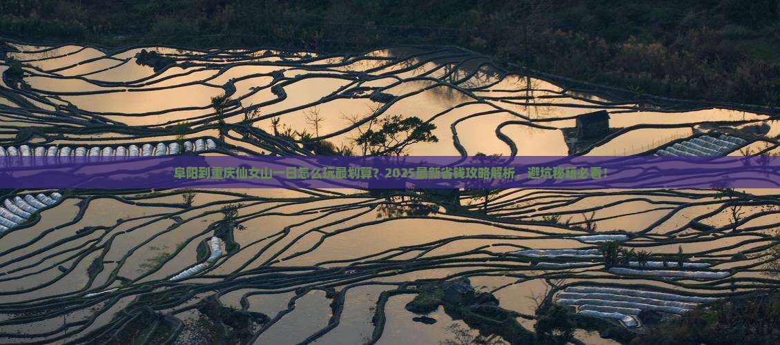 阜阳到重庆仙女山一日