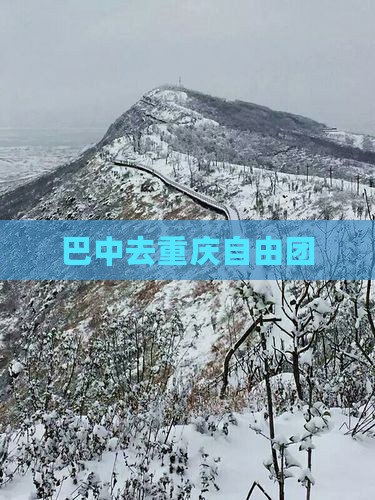 巴中去重庆自由团