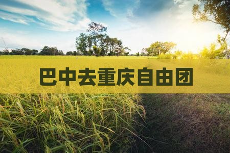 巴中去重庆自由团