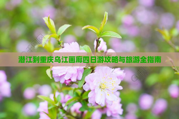 潜江到重庆乌江画廊四日游
