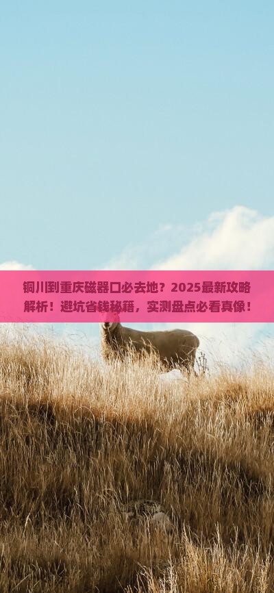 铜川到重庆磁器口必去地