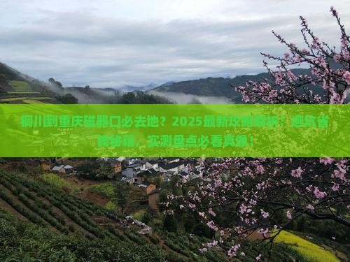 铜川到重庆磁器口必去地