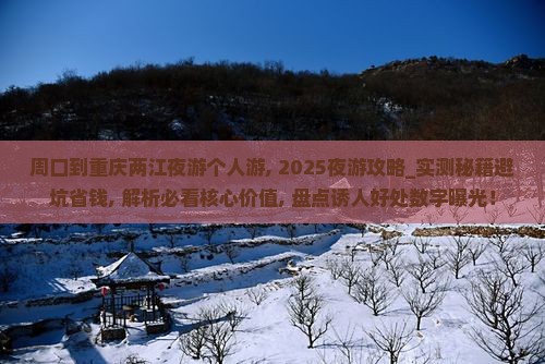 周口到重庆两江夜游个人游