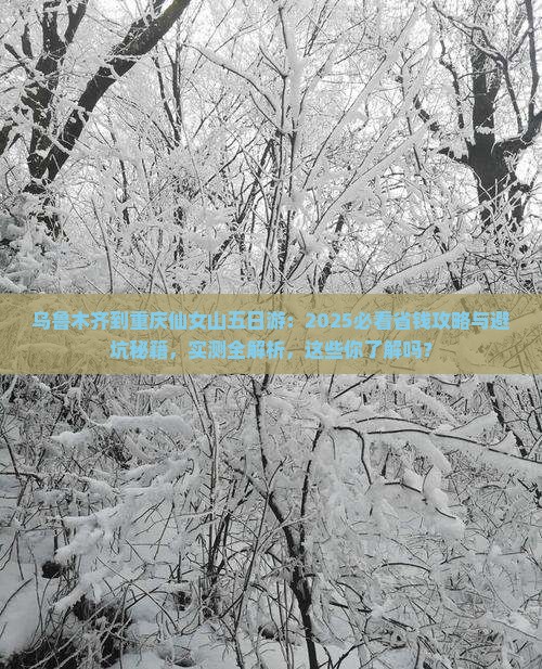 乌鲁木齐到重庆仙女山五日游