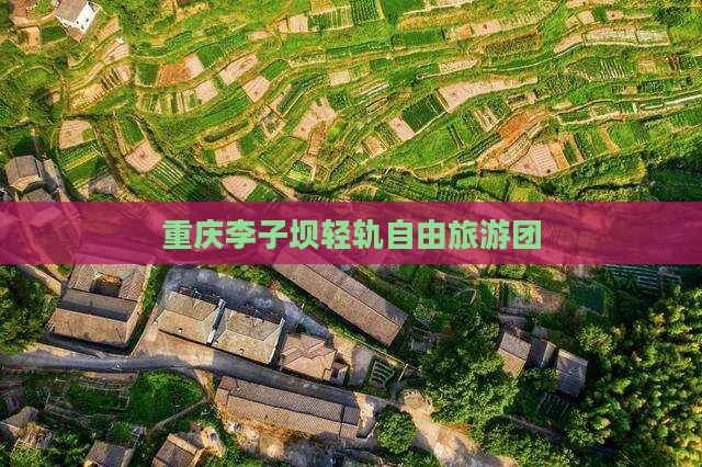 朝阳去重庆李子坝轻轨站自由团