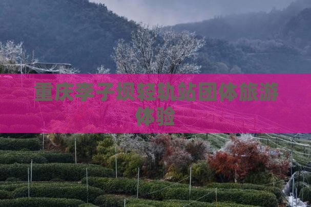 海南省直辖去重庆李子坝轻轨站团体旅游