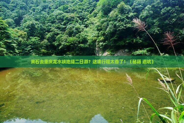 黄石去重庆龙水峡地缝二日游