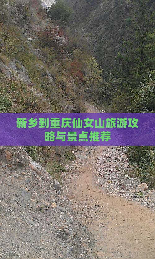 新乡到重庆仙女山团体旅游