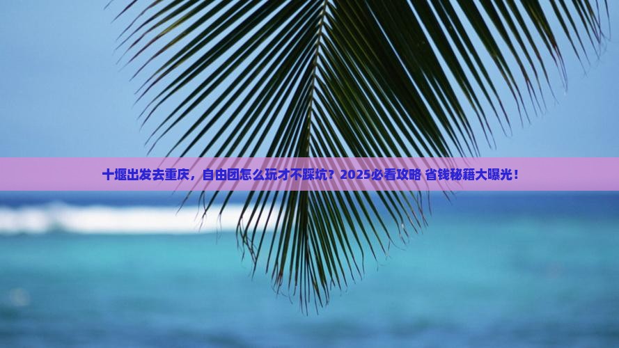 十堰到重庆自由团